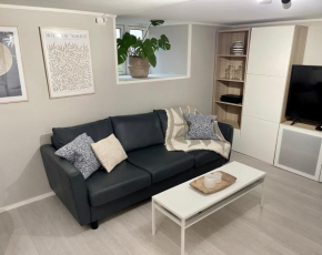 One bedroom basement apartment in the city